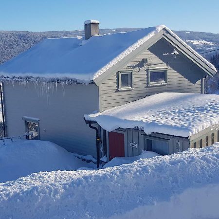 Lille Randklev Gaestehus Ringebu Exteriér fotografie